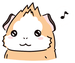 Guinea Pig Fashion (English) sticker #1085666