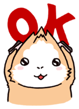 Guinea Pig Fashion (English) sticker #1085667
