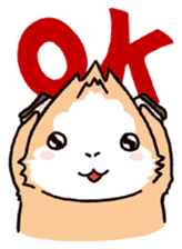 Guinea Pig Fashion (English) sticker #1085667