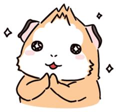 Guinea Pig Fashion (English) sticker #1085669