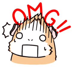 Guinea Pig Fashion (English) sticker #1085670