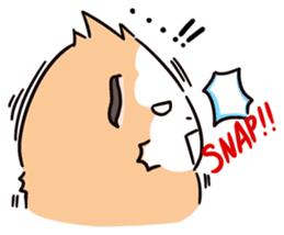 Guinea Pig Fashion (English) sticker #1085681