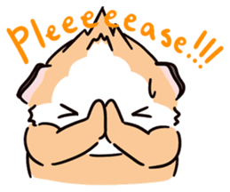 Guinea Pig Fashion (English) sticker #1085684