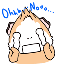 Guinea Pig Fashion (English) sticker #1085695