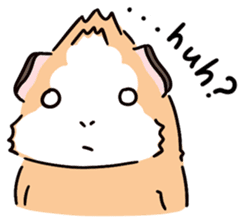 Guinea Pig Fashion (English) sticker #1085698