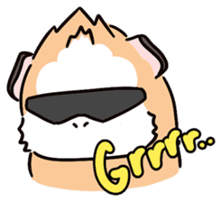 Guinea Pig Fashion (English) sticker #1085702
