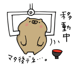 SHIRU KUMA-CAFE sticker #1085991