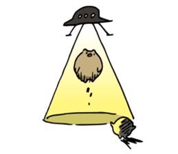 SHIRU KUMA-CAFE sticker #1086020