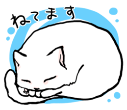 Fluffy cat Kabu sticker #1086788