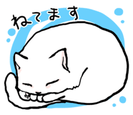 Fluffy cat Kabu sticker #1086788