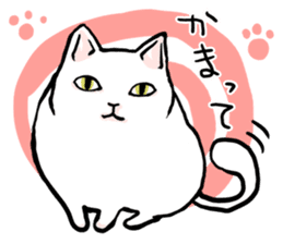 Fluffy cat Kabu sticker #1086792
