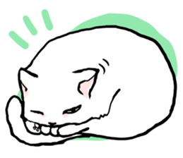 Fluffy cat Kabu sticker #1086793