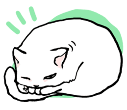 Fluffy cat Kabu sticker #1086793