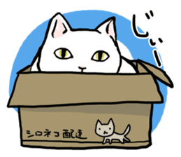 Fluffy cat Kabu sticker #1086796