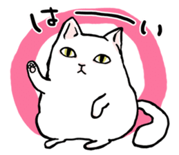 Fluffy cat Kabu sticker #1086798