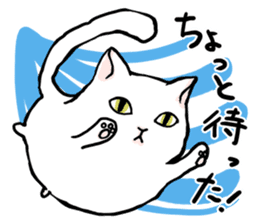 Fluffy cat Kabu sticker #1086799
