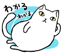 Fluffy cat Kabu sticker #1086801