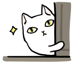 Fluffy cat Kabu sticker #1086805