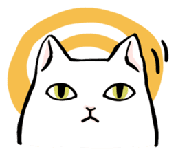 Fluffy cat Kabu sticker #1086806