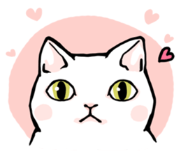 Fluffy cat Kabu sticker #1086818