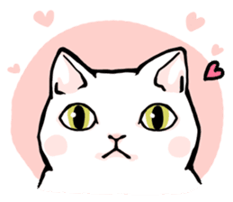 Fluffy cat Kabu sticker #1086818