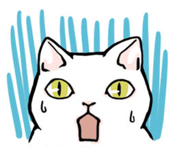 Fluffy cat Kabu sticker #1086819
