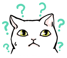 Fluffy cat Kabu sticker #1086821