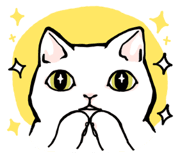 Fluffy cat Kabu sticker #1086822