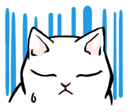 Fluffy cat Kabu sticker #1086823