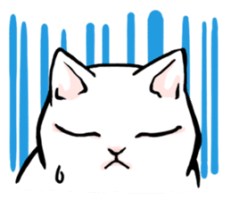 Fluffy cat Kabu sticker #1086823