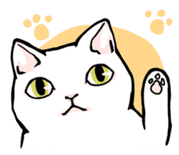 Fluffy cat Kabu sticker #1086824