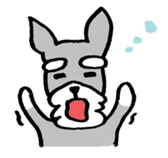 Miniature schnauzer Arao vol.2 sticker #1087637