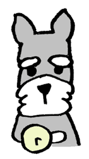 Miniature schnauzer Arao vol.2 sticker #1087639