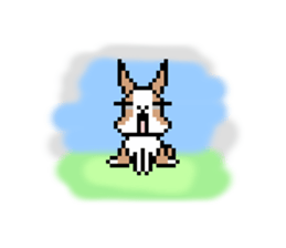 MOMO rabbit's daily life sticker #1088356