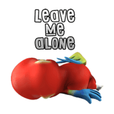 Zeezee, the funny parrot sticker #1088994