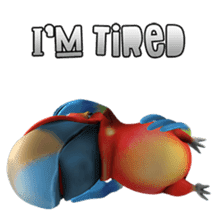 Zeezee, the funny parrot sticker #1089000