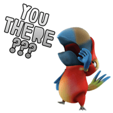 Zeezee, the funny parrot sticker #1089025