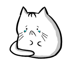 Expressive round cat sticker #1091072