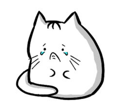 Expressive round cat sticker #1091072