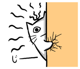 Expressive round cat sticker #1091084