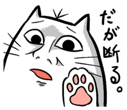 Expressive round cat sticker #1091092