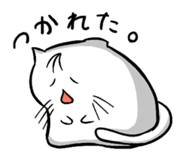 Expressive round cat sticker #1091096