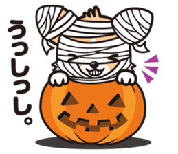 Corgi Halloween sticker #1092138
