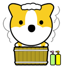 Shibata-san sticker #1093995