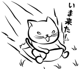 the Sticker of FUNNY CATS sticker #1095266