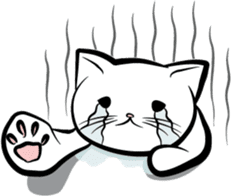 the Sticker of FUNNY CATS sticker #1095269