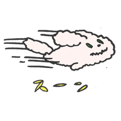 mocomocorabbit