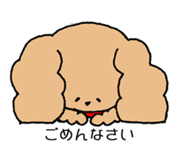 Toy poodle sticker #1103556