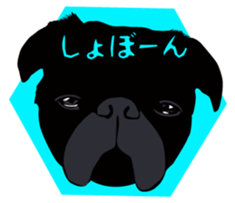 Black Pug DOM [RG] sticker #1105032