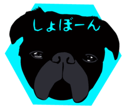 Black Pug DOM [RG] sticker #1105032
